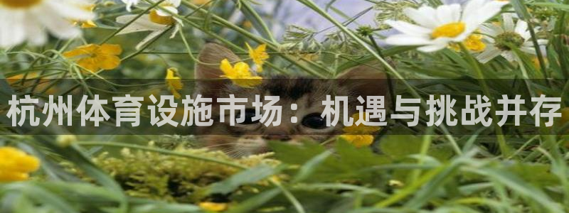 凯捷体育娱乐首页网站大全：杭州体育设施市场：机遇与挑