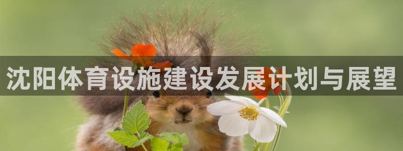 凯捷体育开户：沈阳体育设施建设发展计划与展望