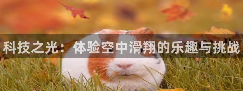 凯捷体育招商电话号码查询：科技之光：体验空中滑翔的乐