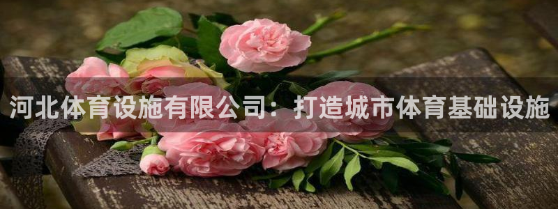 凯捷体育：河北体育设施有限公司：打造城市体育基础设施