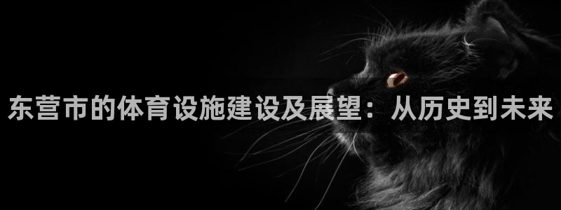 凯捷体育平台：东营市的体育设施建设及展望：从历史到未