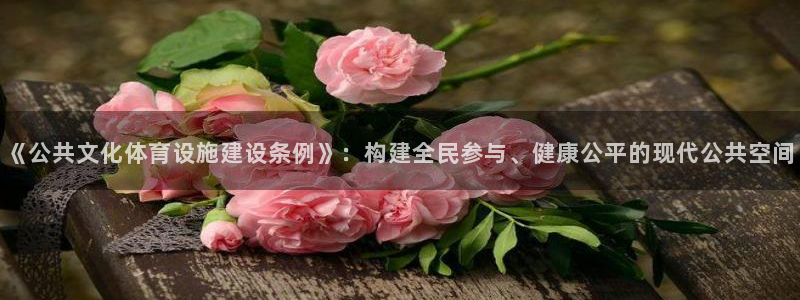 凯捷体育官方：《公共文化体育设施建设条例》：构建全民