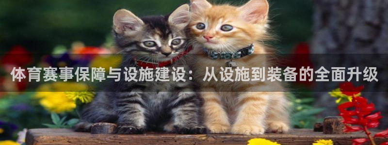 凯捷体育平台注册：体育赛事保障与设施建设：从设施到装