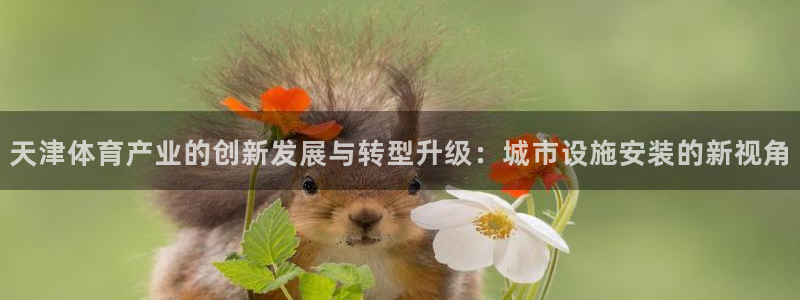 凯捷体育娱乐平台：天津体育产业的创新发展与转型升级：