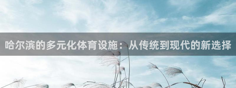 凯捷体育招商电话号码是多少：哈尔滨的多元化体育设施：