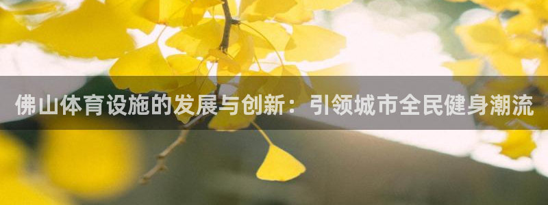 凯捷体育新能源：佛山体育设施的发展与创新：引领城市全