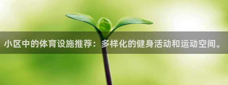 凯捷体育娱乐代理怎么样：小区中的体育设施推荐：多样化