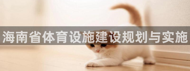 凯捷体育开户：海南省体育设施建设规划与实施