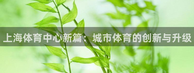 凯捷体育招商电话：上海体育中心新篇：城市体育的创新与升级