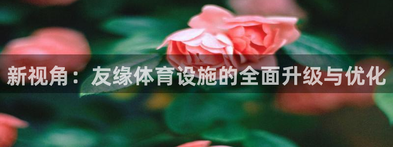 凯捷体育平台注册流程图：新视角：友缘体育设施的全面升级与优化